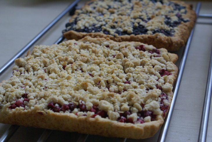 Crowberry and blueberry crumb bars (брусничное и черничное печенье с крошкой): шаг 17