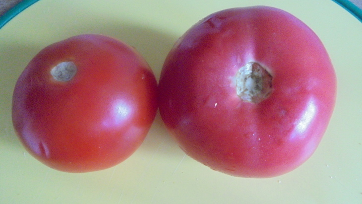 Сулугуни, запеченный с мятой и помидорами: шаг 1