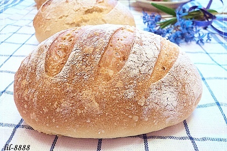 Фото к рецепту: Хлеб от xavier barriga