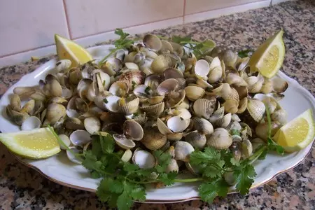 Ракушки морские