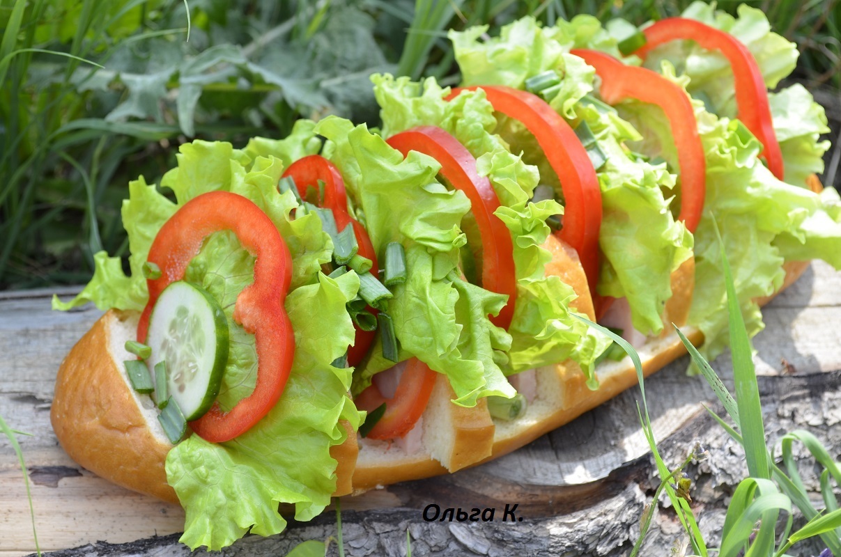 Бутерброды на природу к шашлыку рецепты с фото простые и вкусные