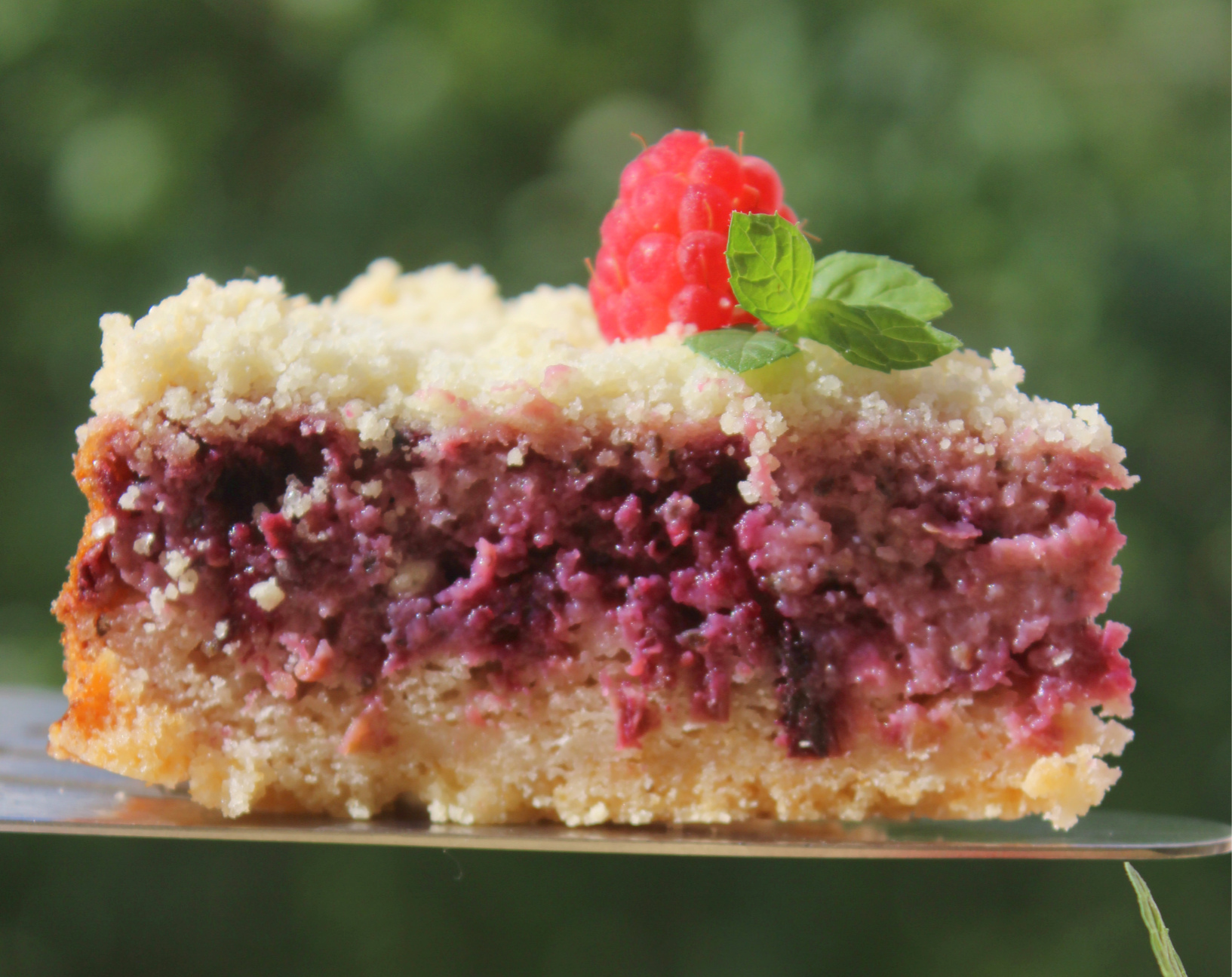 Summer pie. Летний пирог. Пироги с ягодами. Пирог с клубникой. Брусничный пирог.