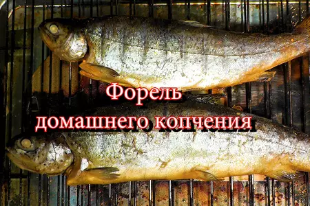 Форель домашнего копчения.