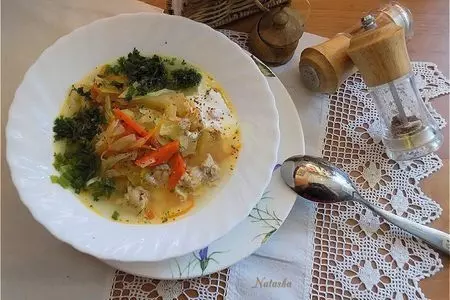 Щи с мясом индейки и яблоком #литкухня и #кулинар