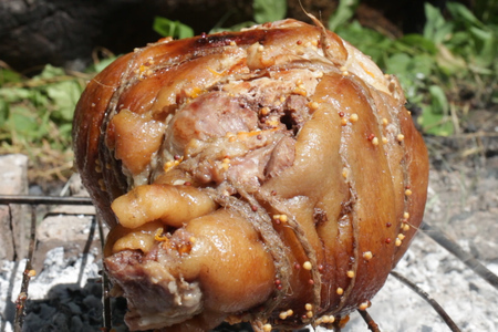 Фото к рецепту: Рулька свиная на углях