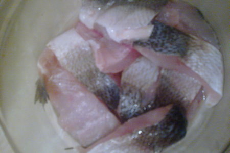 Фото к рецепту: Соление рыбы /муксун, чир, нельма/