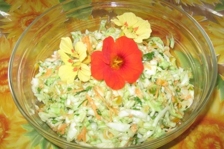 Легкий салатик из капусты