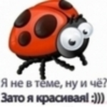 len-usova@yandex.ru